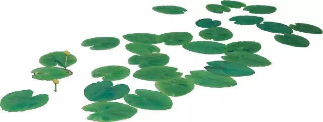 1574241848335776.jpg 3.jpg